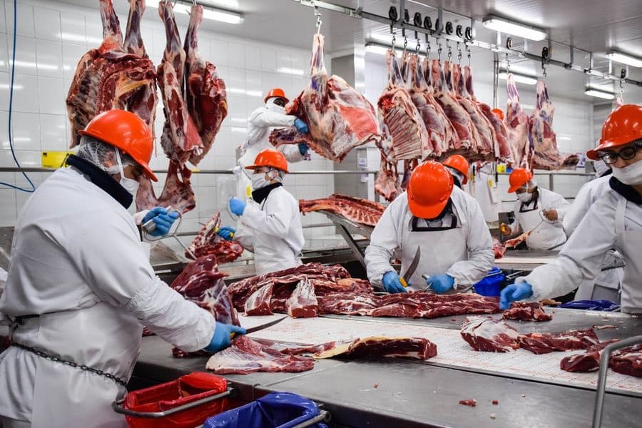 Primer bimestre cierra con exportación de carne bovina por US$ 287 millones