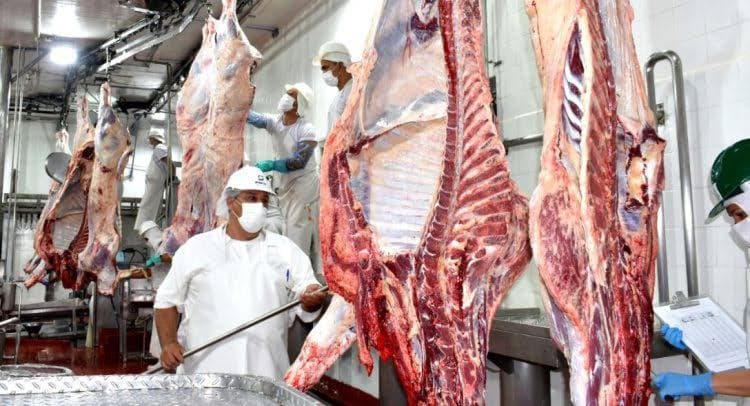 Belén concentró la mayor faena bovina entre los frigoríficos en septiembre