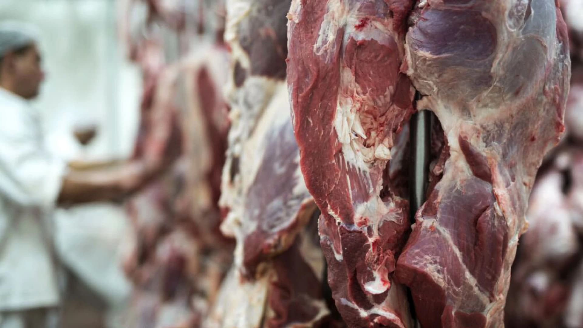 La carne Superior y Premium concentra casi 65% de la faena tipificada