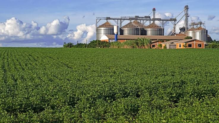 APS plantea mejorar los datos para reflejar la realidad del productor de soja