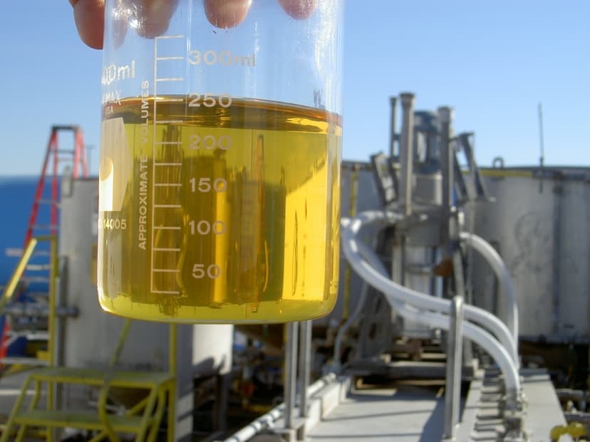 Arranque de mezcla obligatoria de biodiésel divide posiciones en el mercado