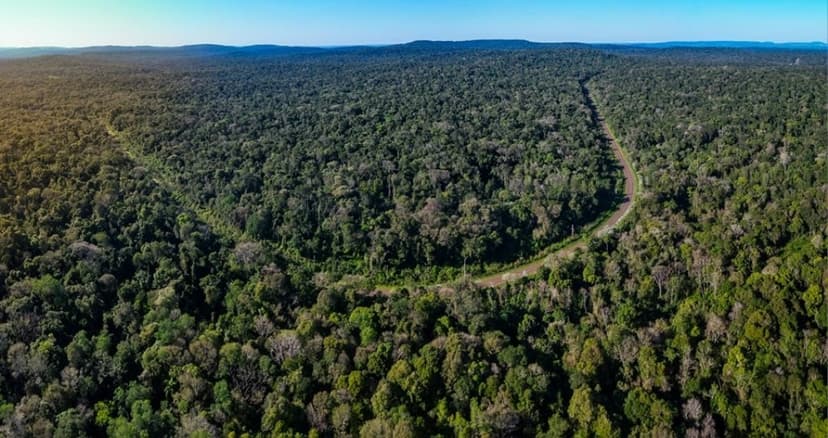 Paraguay entra en el radar global del negocio climático