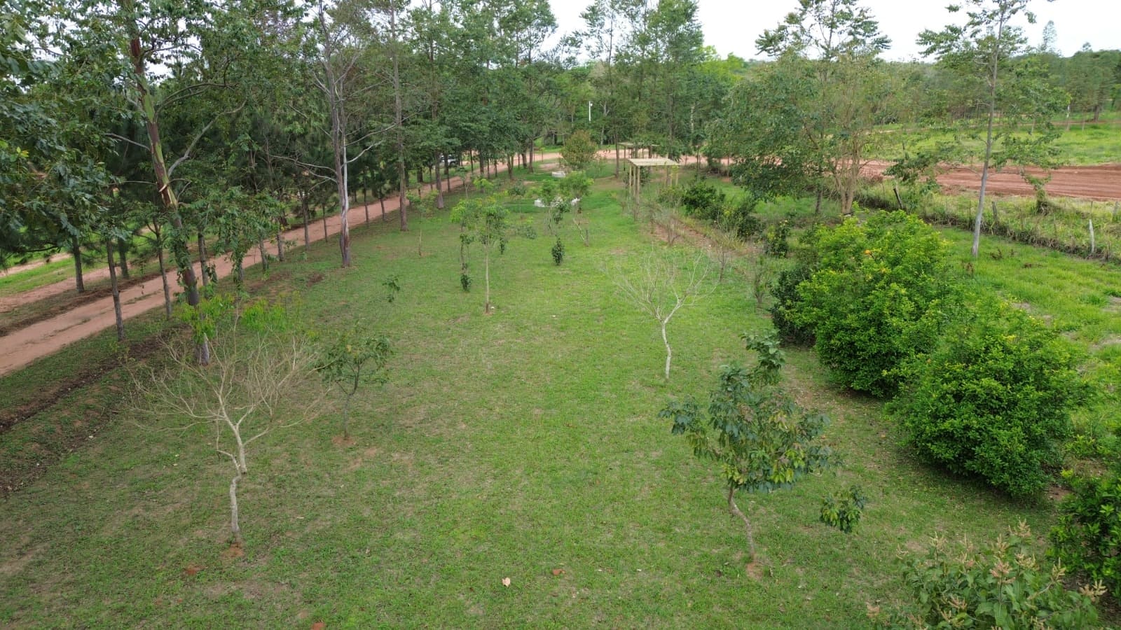 Rectora desarrolla 800 lotes en Piribebuy con La Comarca Quintas