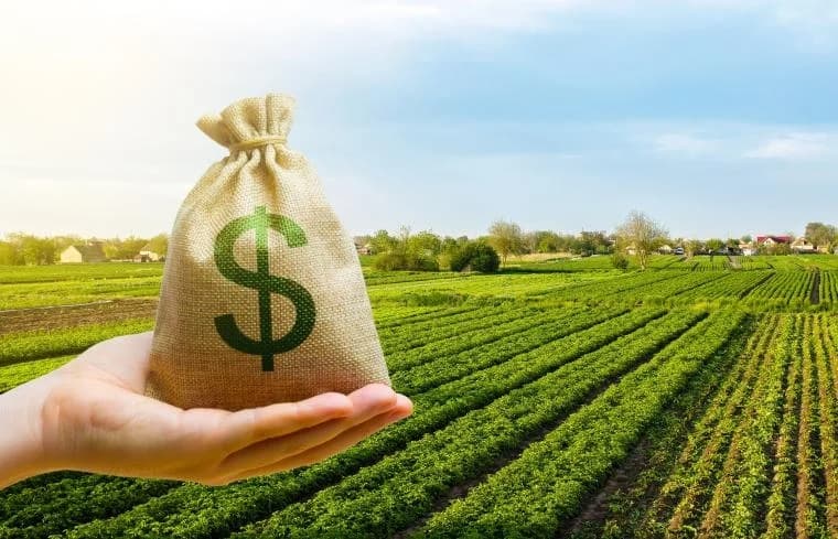 Agro sorprende con cifras récord y una señal clave para los mercados internacionales