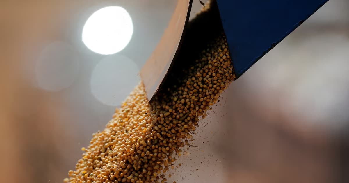 Guerra en Medio Oriente impulsa precios de granos y genera tensión en el comercio mundial