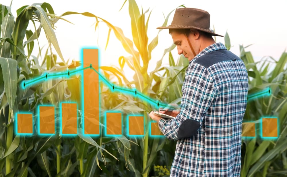Agro aporta el 74% de las exportaciones y consolida su peso económico