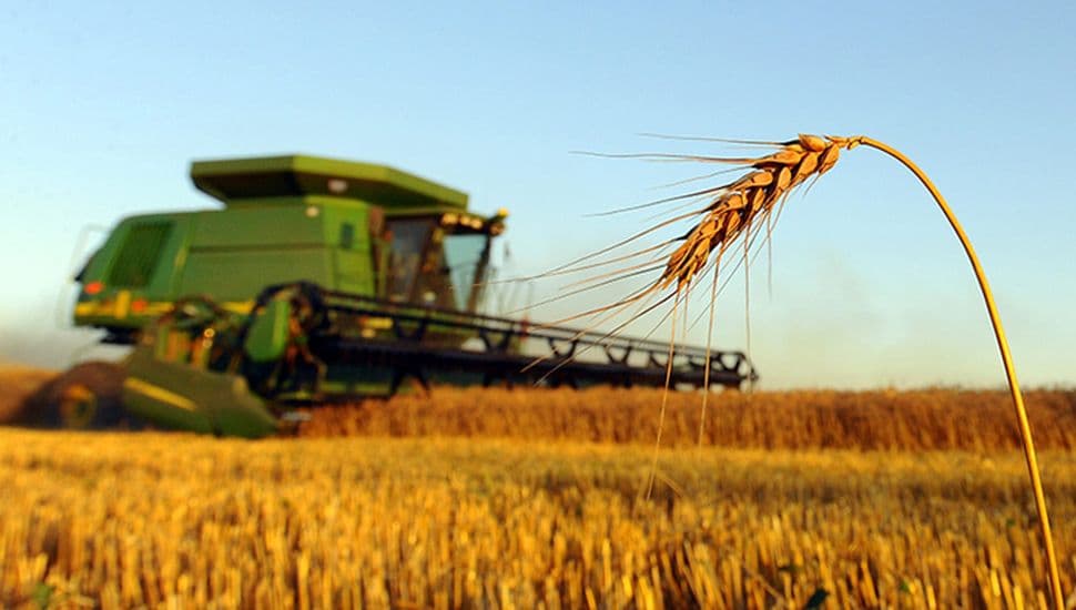 Caída sostenida de materias primas marcará el 2026