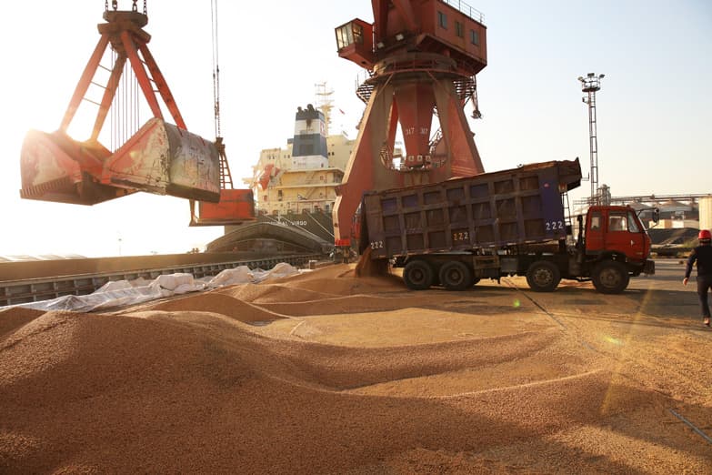 Brasil empezó a comprar más soja paraguaya y atenuó caída de las exportaciones del sector