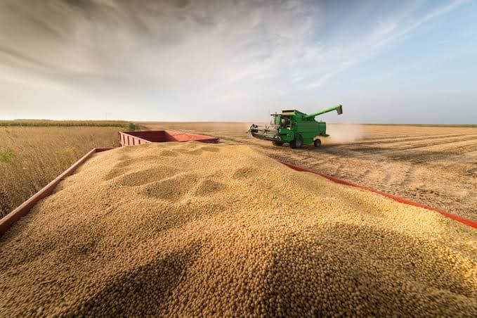 Paraguay apunta a superar los 8 millones de toneladas de soja exportada en 2026