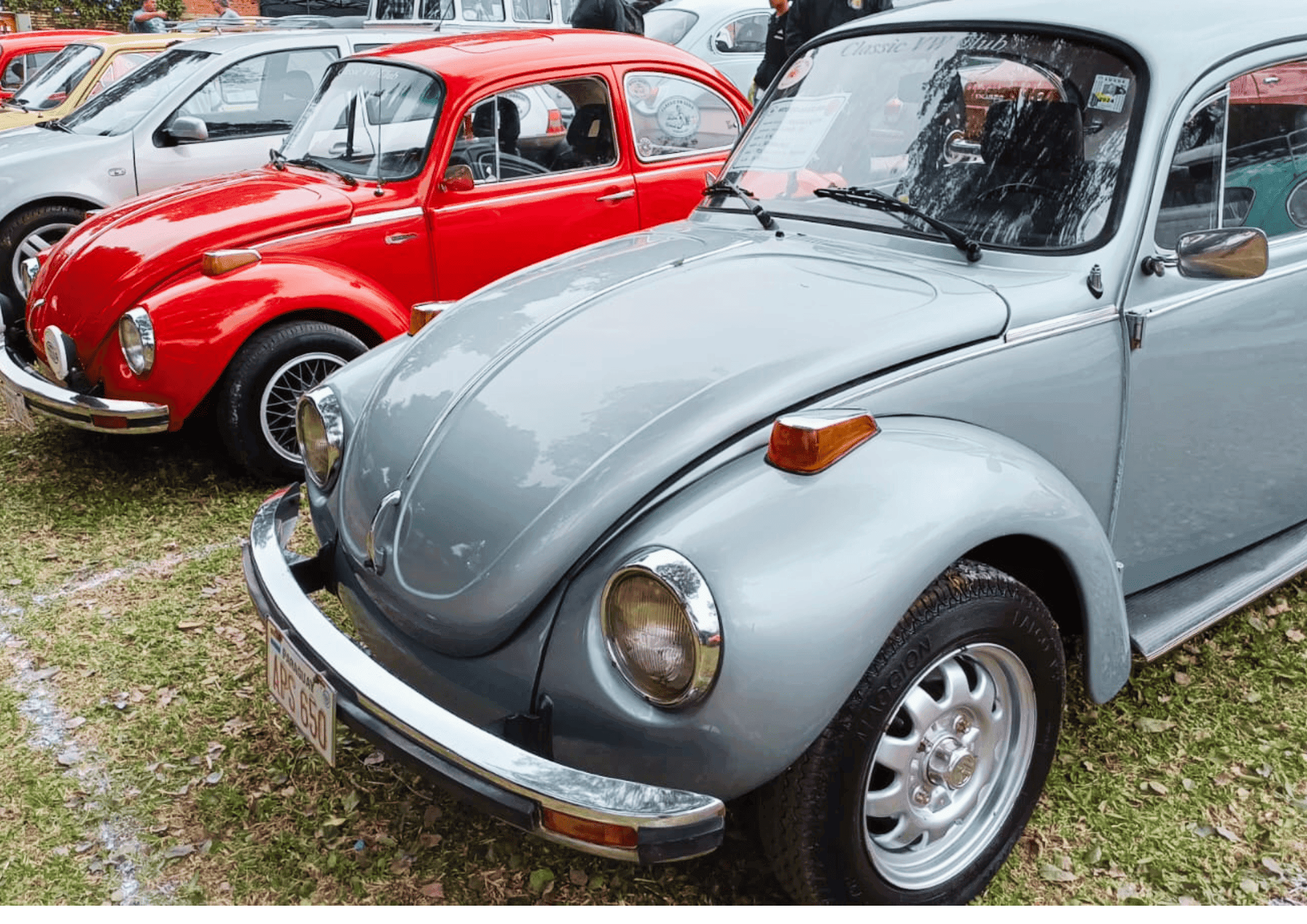 Expo Classic 2026 reunió a más de 200 vehículos clásicos