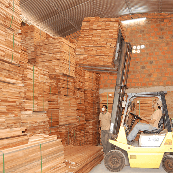 Oportunidad de US$ 1.000 millones con la instalación de industrias de celulosa, plywood y LVL