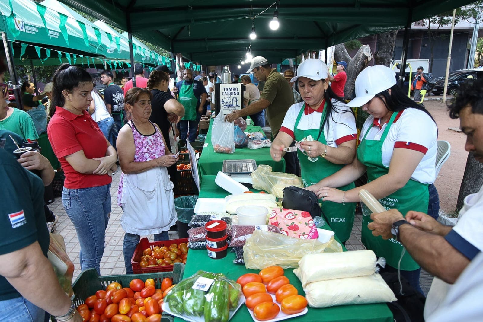 Se vendieron 3.500 kilos de tomate en la Feria de la Agricultura Familiar