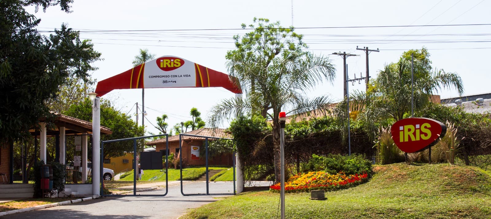 Iris creció 10% en 2025 y consolida su expansión exportadora