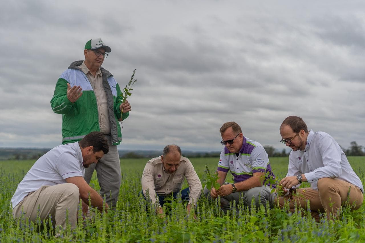 ALPACASA acelera inversiones para ampliar su negocio agroexportador