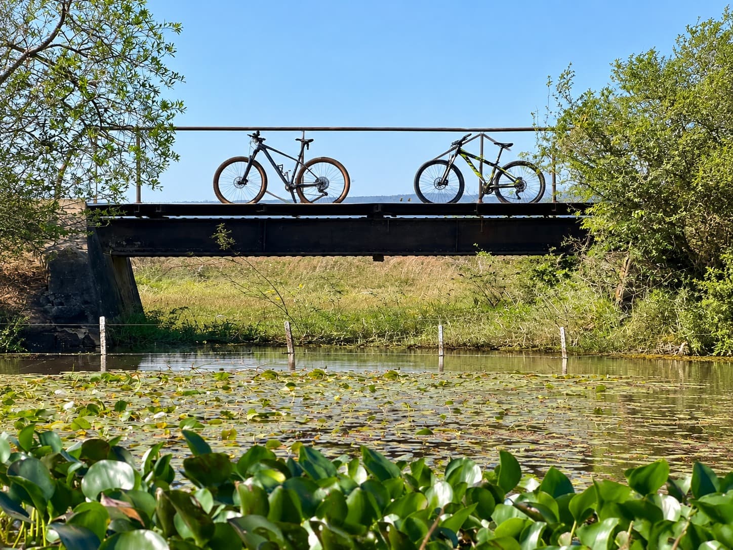 Paraguay habilita 8 kilómetros de una bicisenda proyectada de 420 kilómetros