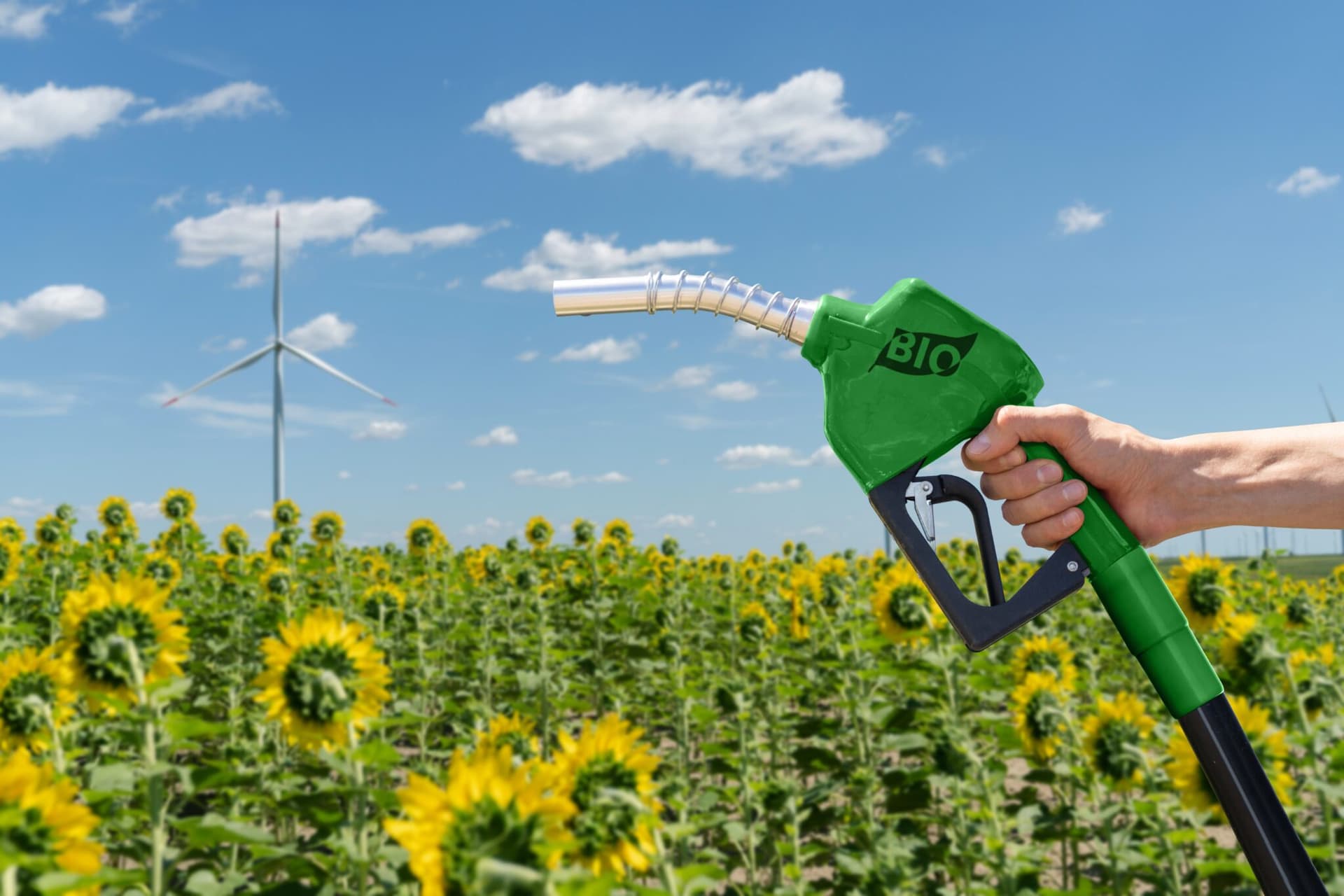 Brasil usará por primera vez combustibles verdes para transportar un fertilizante orgánico
